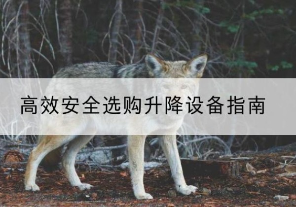 肇庆升降货梯厂家推荐-*安全选购升降设备指南