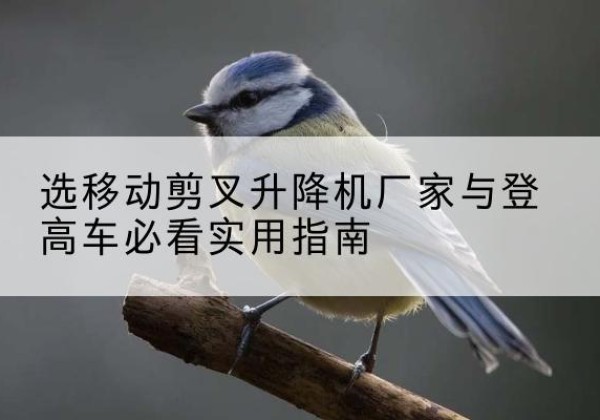 肇庆电动升降机厂家-选移动剪叉升降机厂家与登高车必看实用指南