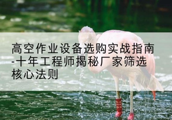 肇庆剪叉式升降机厂家-高空作业设备选购实战指南-十年工程师揭秘厂家筛选核心法则